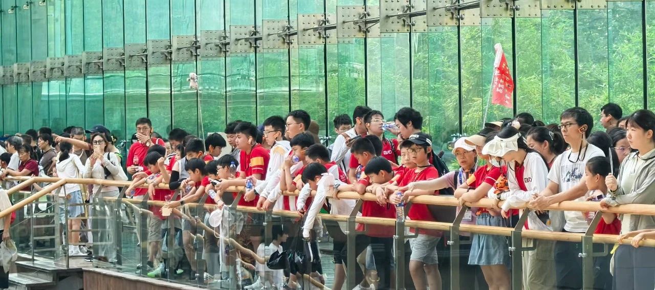 微信图片_2025-08-13_090131_812.jpg